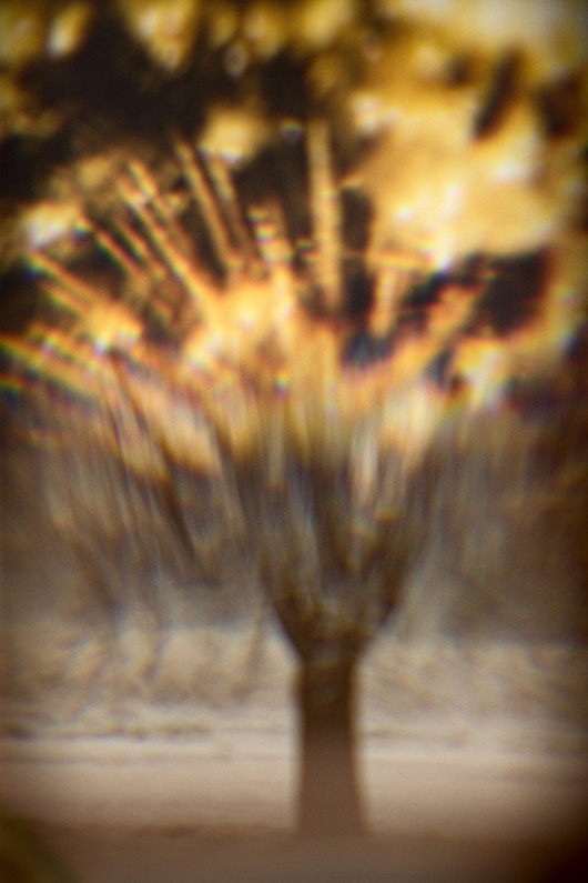 Abstrakte Fotografie von einem Baum mit leuchtender Krone
